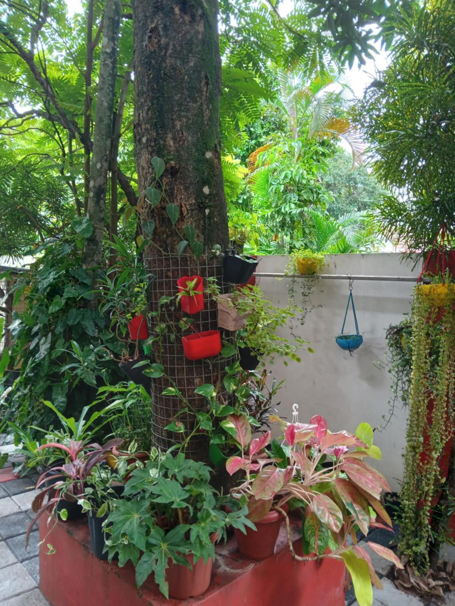 Gerards Home Stay Fortkochi Buitenkant foto